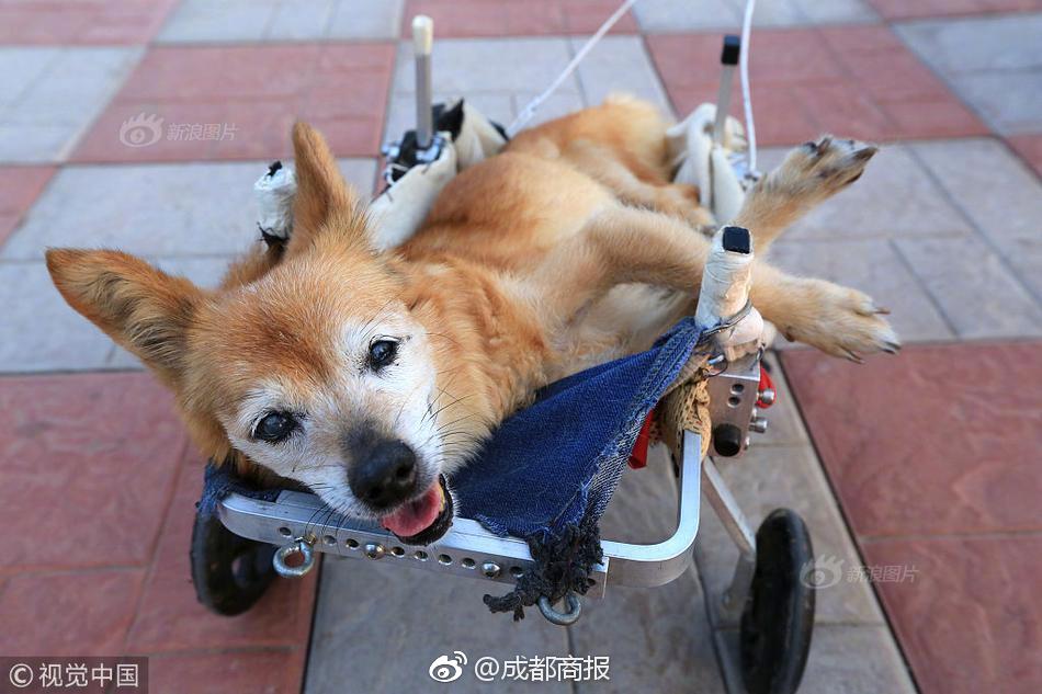 A study found that reading aloud to young children improves their language development