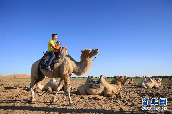 The government passed a law to protect consumers from hidden fees on airline tickets and hotel stays