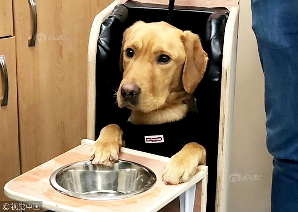 A software company launched a new app that helps users track their fitness goals and progress