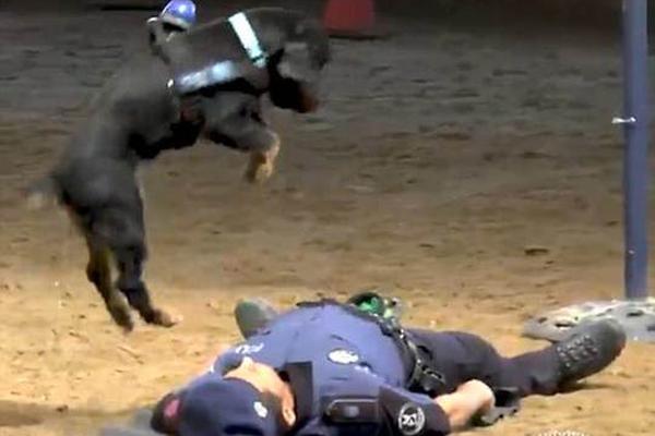 A software company released a new tool that helps businesses track inventory