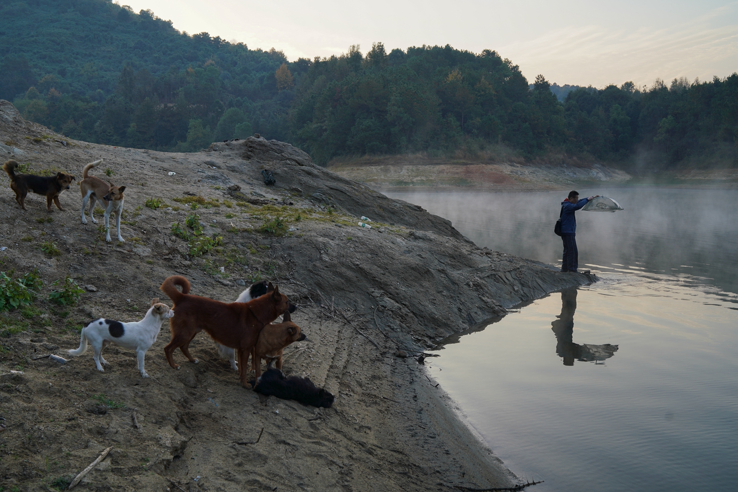 Scientists discovered a way to convert plastic waste into fuel offering a solution to the global plastic pollution crisis