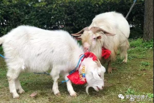 A major clothing brand announced it will expand its size range to be more inclusive