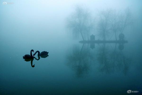 A national forest announced it will open 20 new camping sites next year to accommodate more visitors