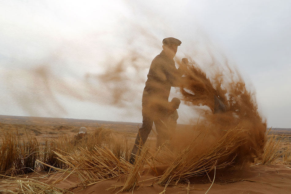 Local farmers markets reported record attendance during the summer months