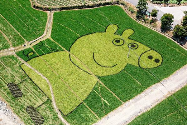 The military donated medical supplies to local hospitals struggling with high patient numbers