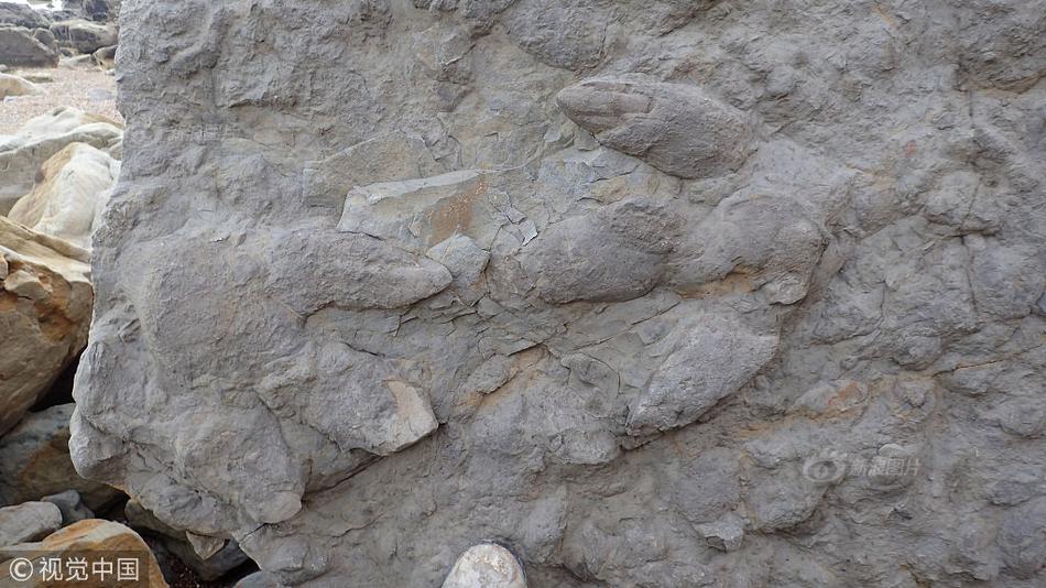 The transportation department began construction on a new highway bypass to reduce traffic in the city center