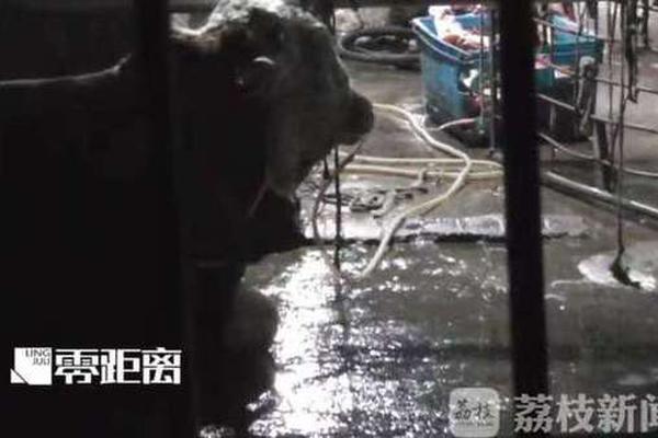 A museum displayed ancient Egyptian artifacts that had been on loan from a foreign museum