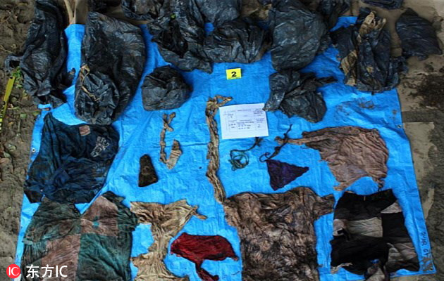 Scientists studied the impact of plastic waste on marine life