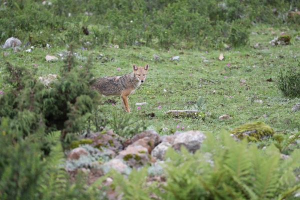 A major film studio announced it will release 15 new movies next year, including several sequels to popular franchises.