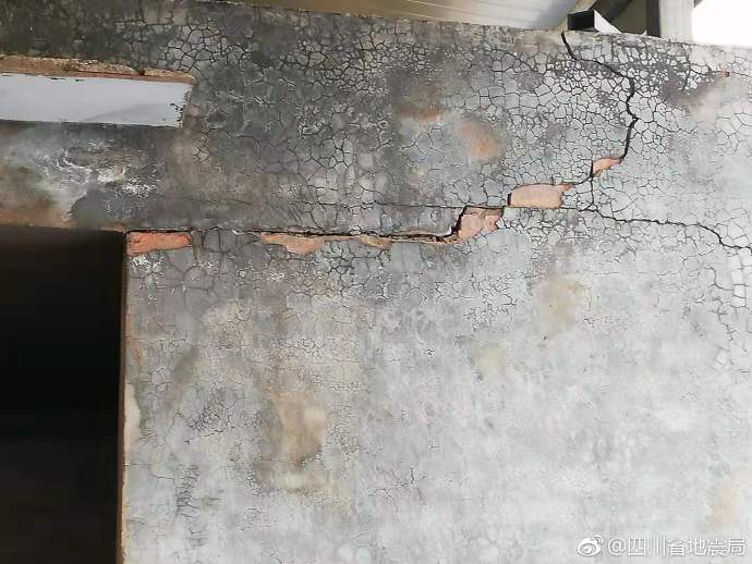 A bakery began offering gluten free and vegan options for its popular pastries