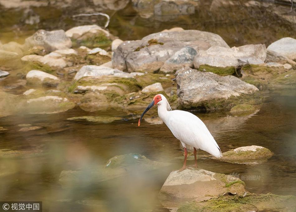 A museum displayed a collection of vintage cameras and photography equipment