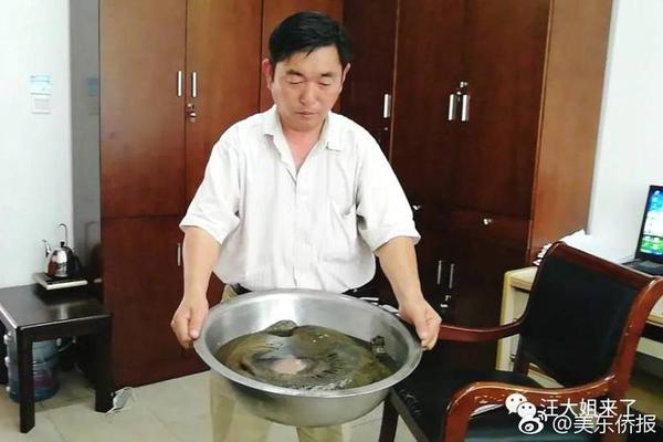 A museum hosted a workshop on traditional pottery making led by a local artist