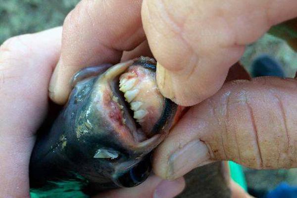 Candle store hosts workshop on making homemade candles