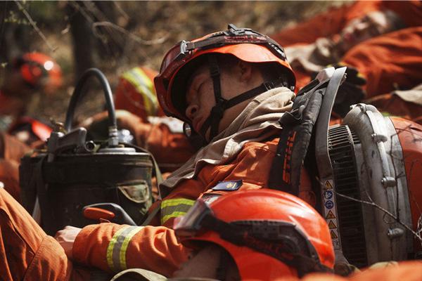 Pet groomer specializes in grooming anxious pets