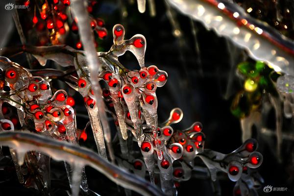 Engineers successfully tested a new renewable energy technology