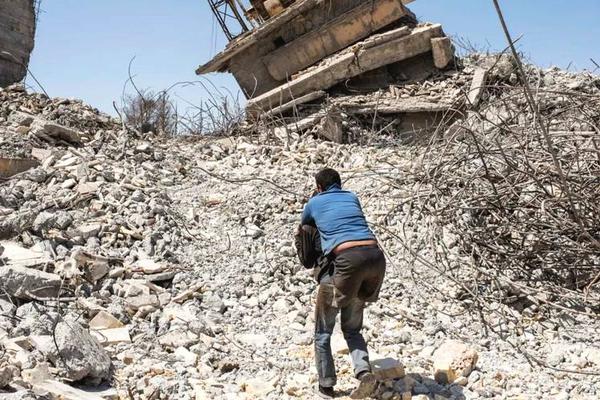 A grocery store started selling plant-based meat alternatives in its frozen food section