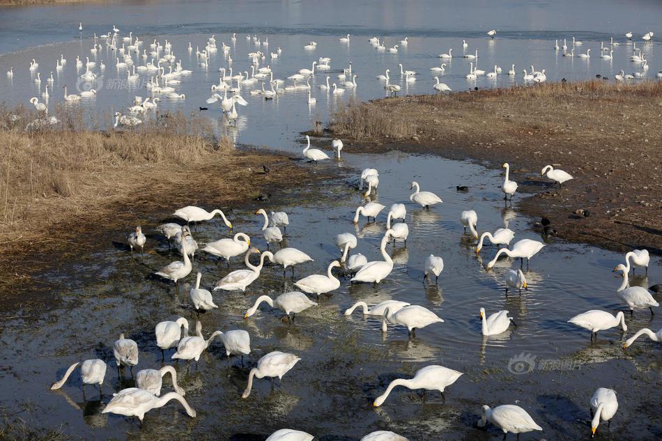 Doctors urged parents to ensure their children receive all necessary vaccinations