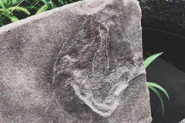 Plant store offers indoor gardening workshops for apartment residents