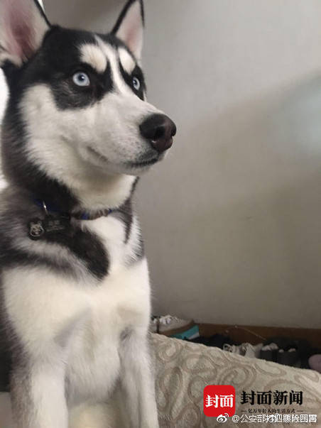 A popular TV show aired its series finale last night attracting millions of viewers and sparking online discussion