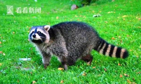 The government built new affordable housing complexes in urban areas with high rent costs