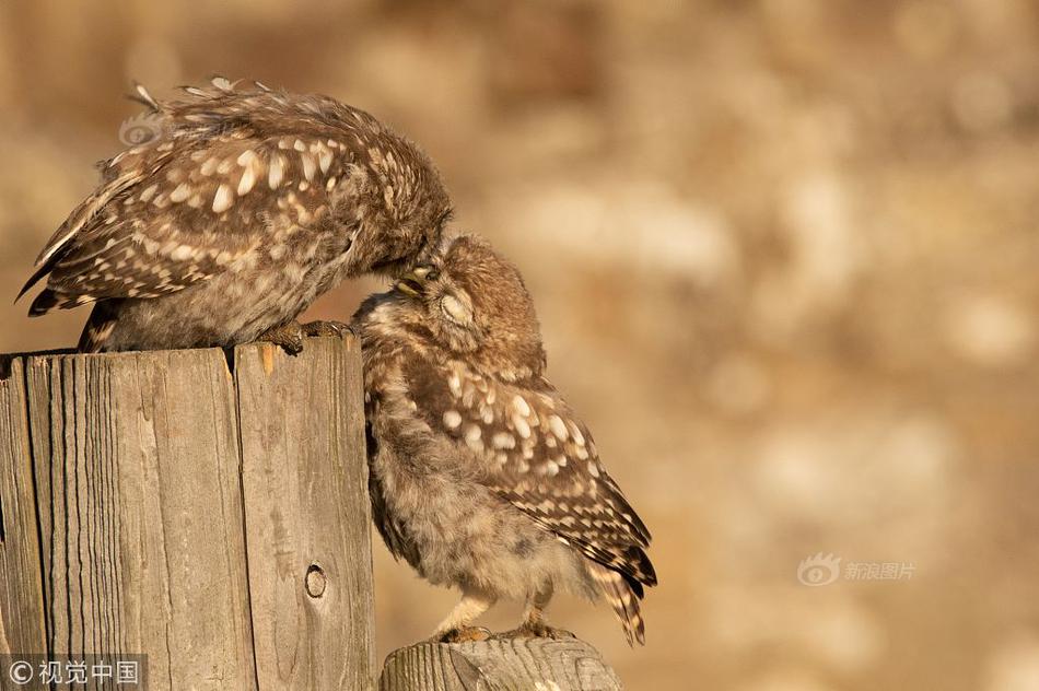 The federal bank provided low-interest loans to small businesses affected by supply chain issues