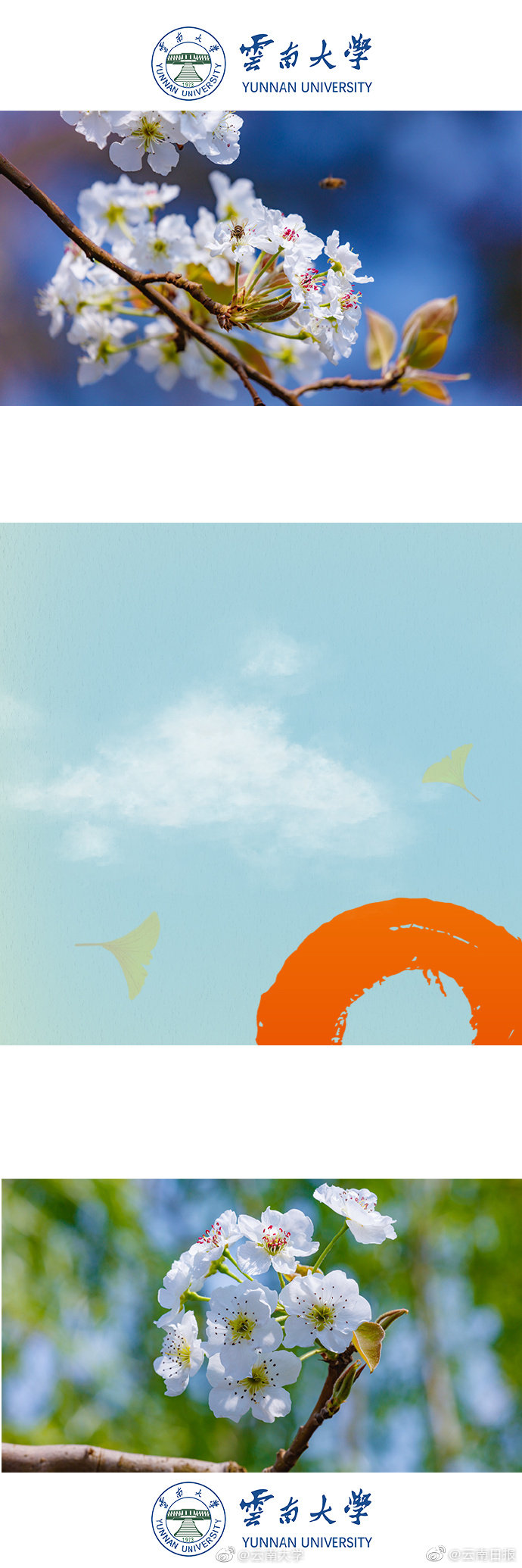 A fashion store started selling accessories made by local artisans to support the community