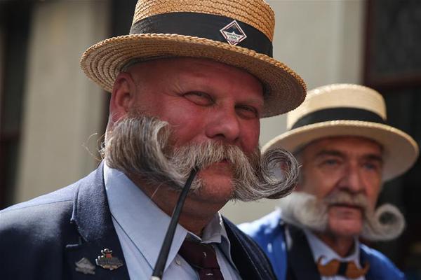 Researchers discovered that plants grow 15% faster when exposed to soft classical music