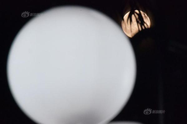 A pet rescue organization started a 