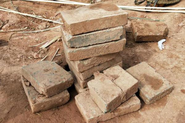 A farm started offering educational tours for school groups to learn about farming