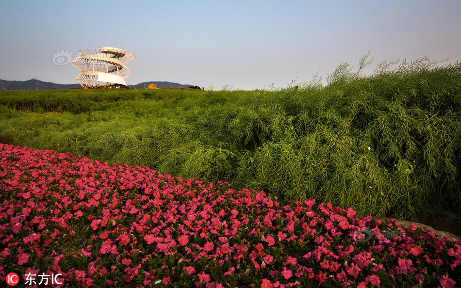 A grocery store started offering online recipe suggestions based on the items customers have in their cart