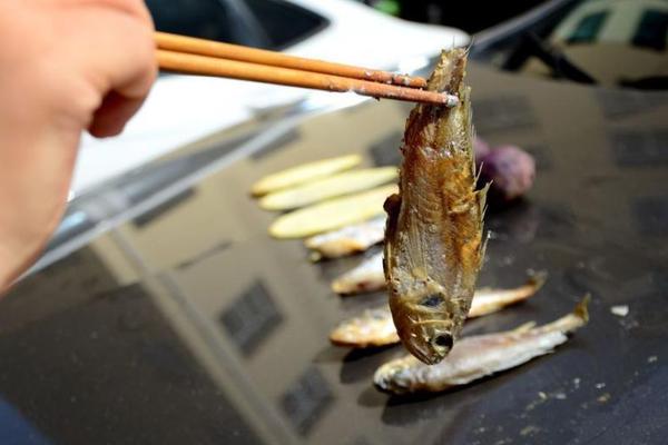 A library added a collection of books in multiple languages to support immigrant families