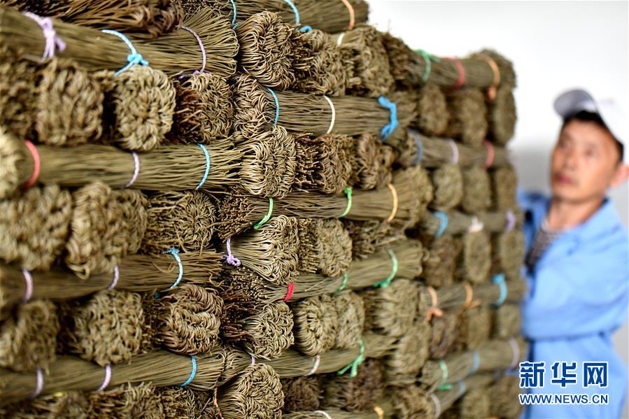 The government provided loans to small businesses to help them recover from a recent crisis