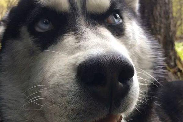 A new streaming service launched this week, offering exclusive content from popular directors and actors at a monthly subscription fee.