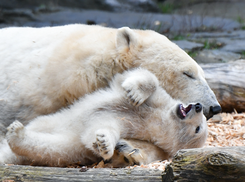A severe flood hit a rural area destroying hundreds of homes and forcing residents to seek temporary shelter
