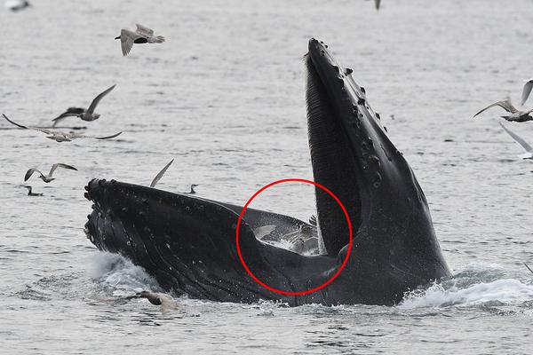 The city banned single-use plastic utensils in all food service establishments