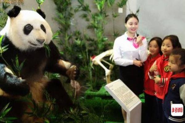 Environmental activists protested against a new oil pipeline project in the northern wilderness