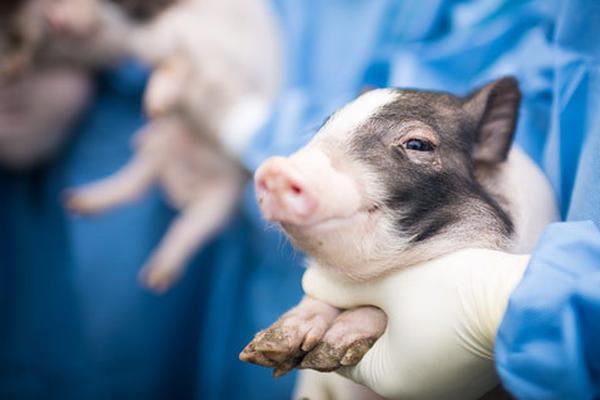 Survey shows 80% of parents want more mental health support in schools