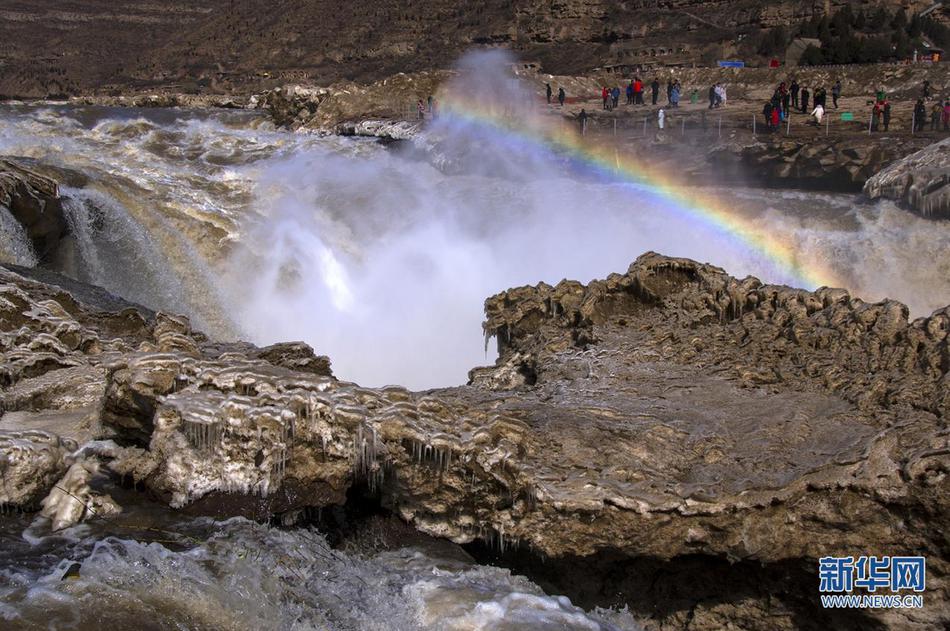 A famous author was awarded a prestigious literary prize for their contributions to contemporary literature