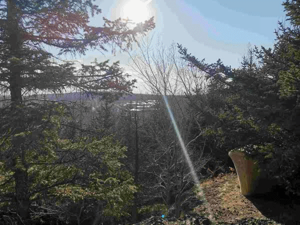 A city installed new public restrooms downtown to improve amenities for visitors