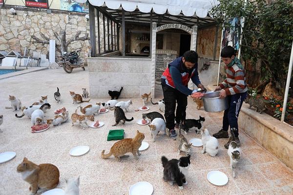 A grocery store started labeling products with their origin to help customers support local farmers