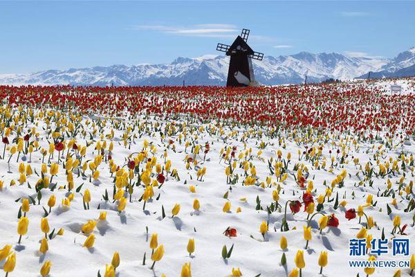 A library added a collection of books in multiple languages to support immigrant families