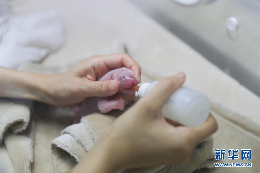 A bookstore started a book club for teens focusing on young adult fiction