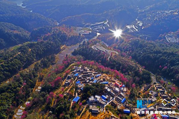 Study finds that writing in a journal reduces stress levels