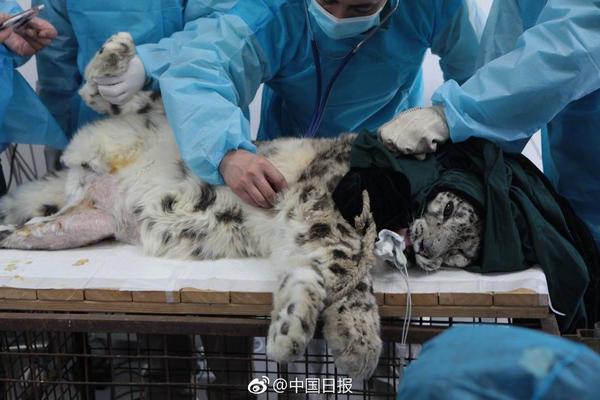 A medical study found that getting seven to eight hours of sleep improves memory retention