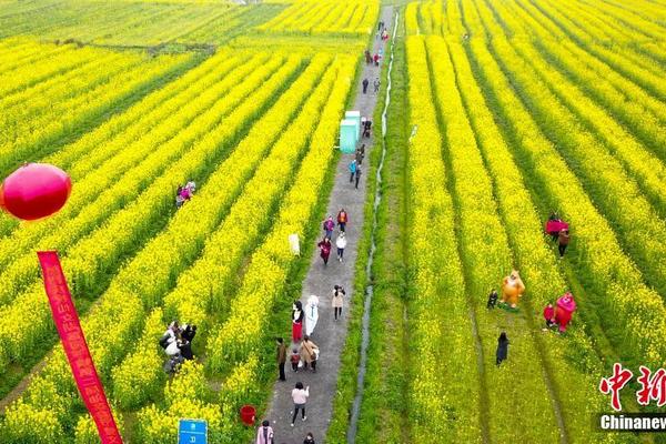A farmers market hosted a holiday market