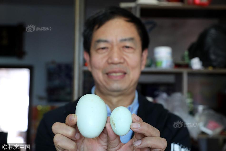 Wildlife sanctuary releases rehabilitated birds of prey into protected forest area