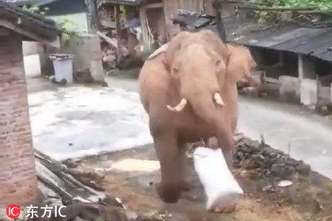 The government launched a new initiative to promote digital literacy among elderly citizens offering free online courses