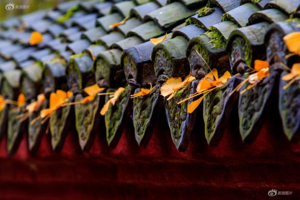 Weather conditions forced the cancellation of a horse race due to muddy track conditions