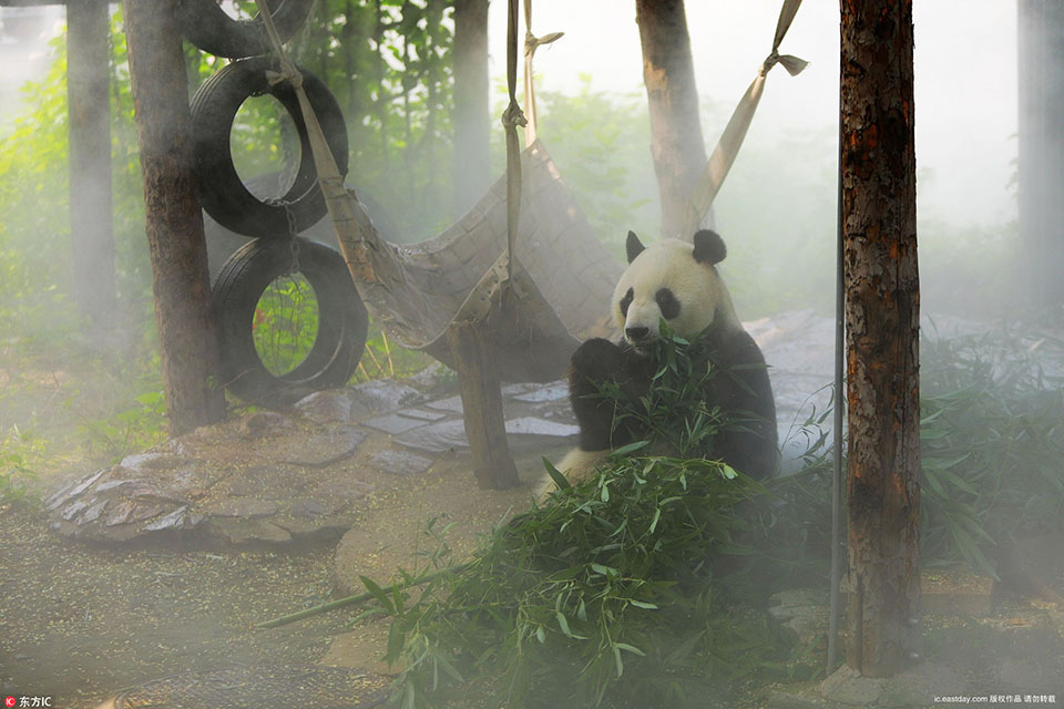 A popular singer announced a world tour starting in June