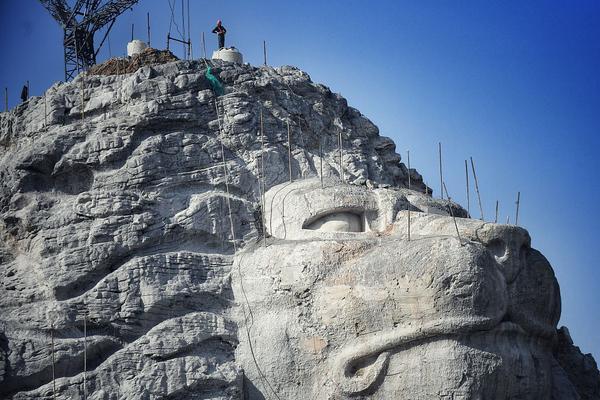 Researchers found that eating a handful of berries daily can boost immune system function